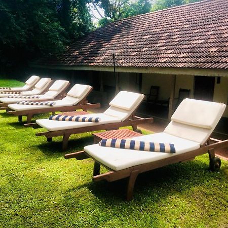 Ekho Sigiriya Hotell Eksteriør bilde