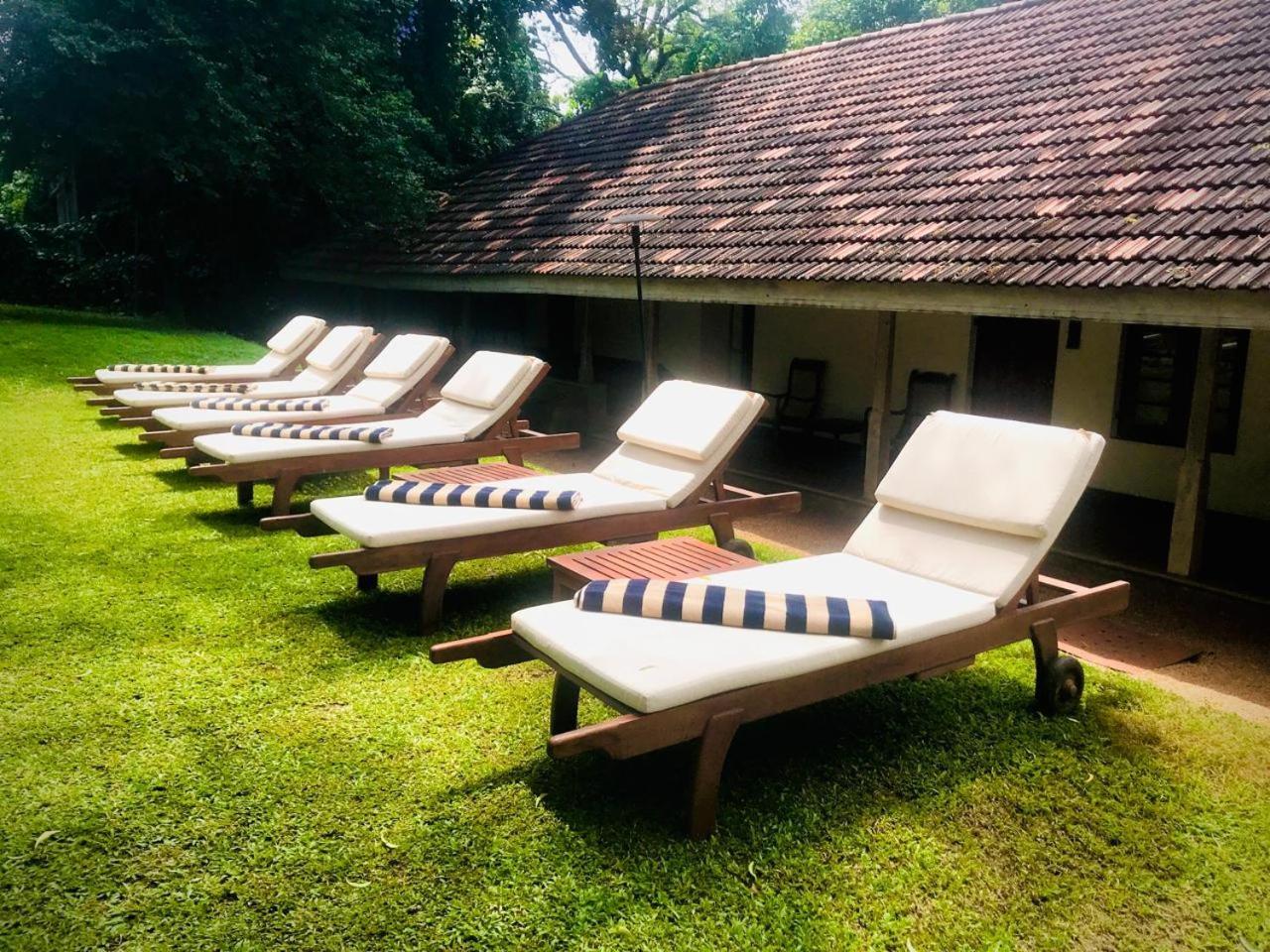 Ekho Sigiriya Hotell Eksteriør bilde