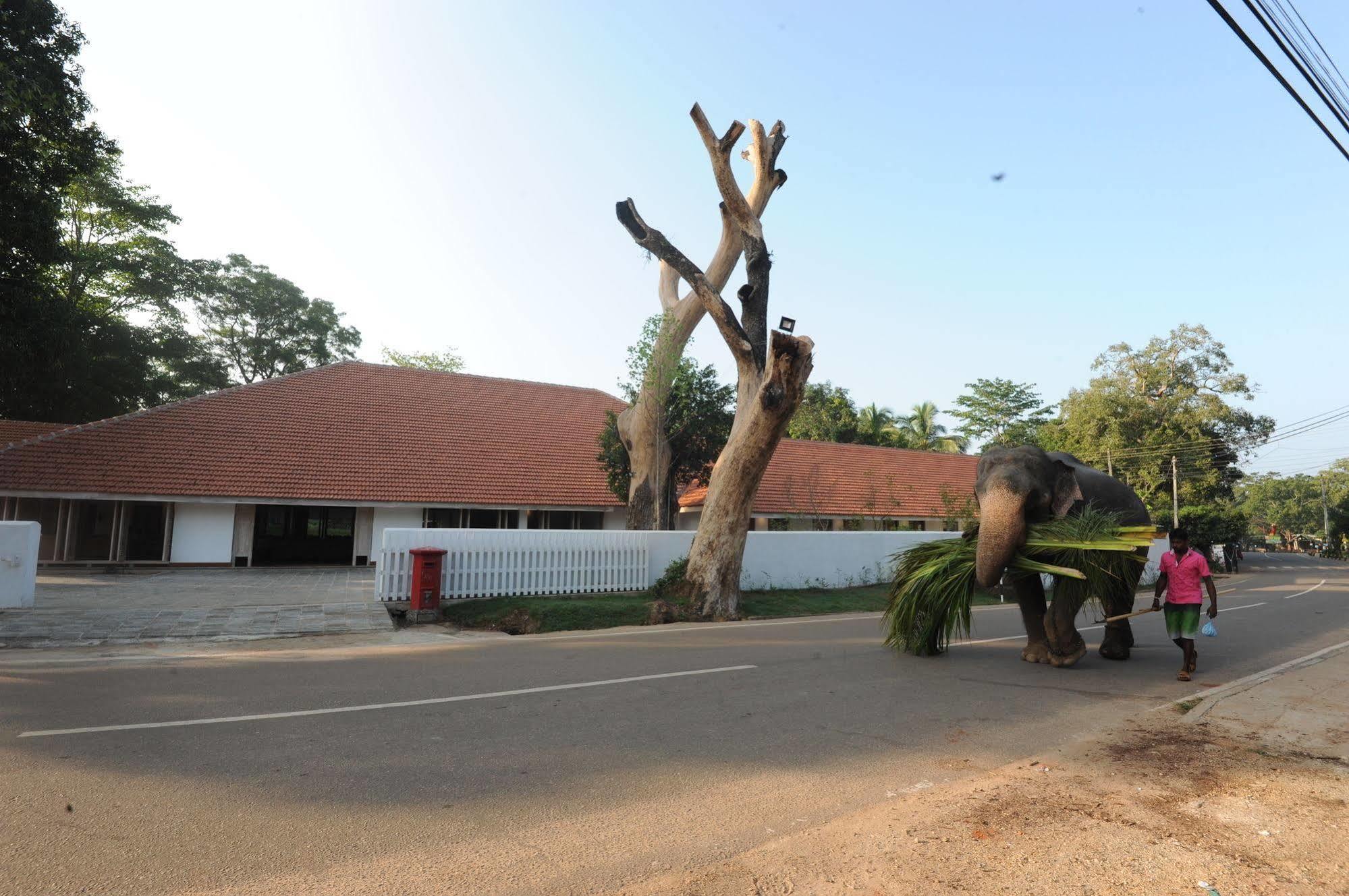 Ekho Sigiriya Hotell Eksteriør bilde